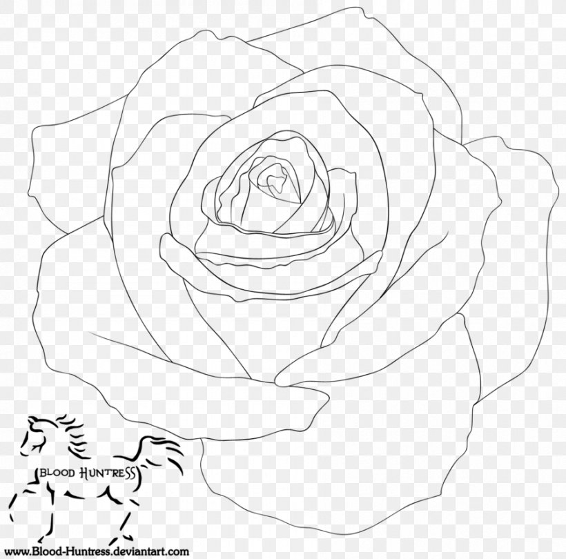 Garden Roses Line Art Floral Design, PNG, 899x889px, Garden Roses, Area, Art, Artwork, Black Download Free