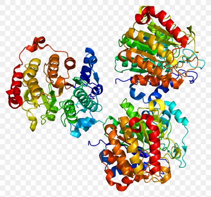 Histone Deacetylase Inhibitor HDAC7 Histone Acetylation And Deacetylation, PNG, 951x888px, Histone Deacetylase, Acetylation, Area, Art, Enzyme Download Free