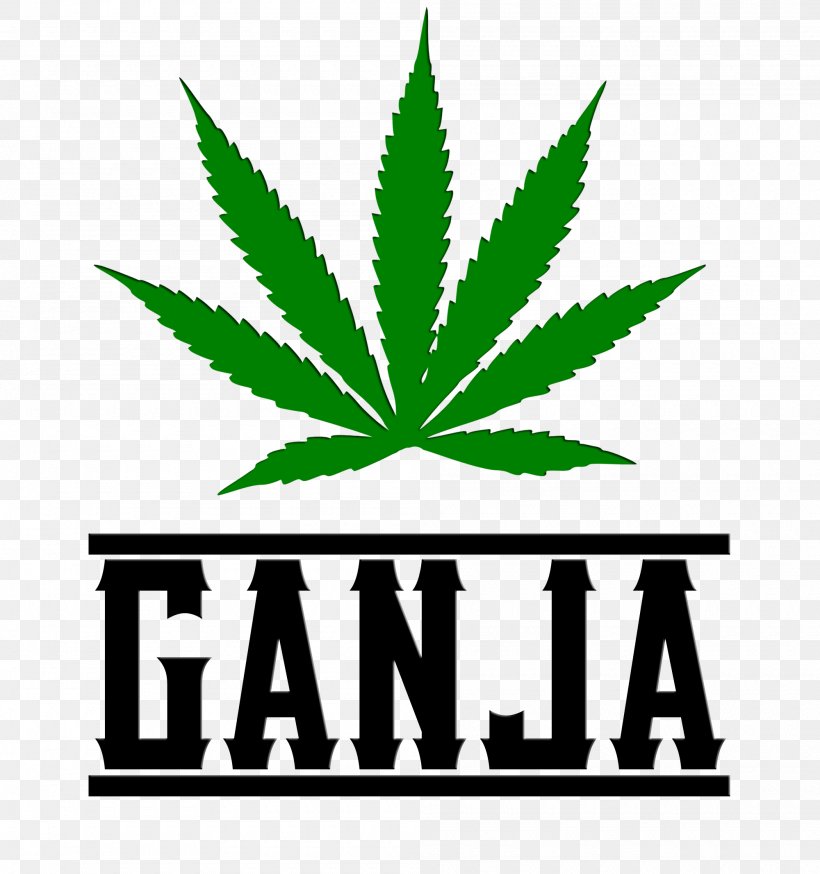 Cannabis Cultivation Kush Purple Innovation Medical Cannabis, PNG, 2000x2133px, Cannabis, Brand, Bud, Cannabis Cultivation, Cannabis Sativa Download Free