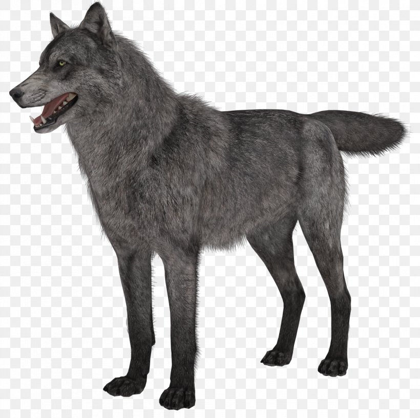 Gray Wolf Clip Art, PNG, 1267x1263px, Norwegian Elkhound, African Wild Dog, Animal, Arctic Wolf, Black Norwegian Elkhound Download Free
