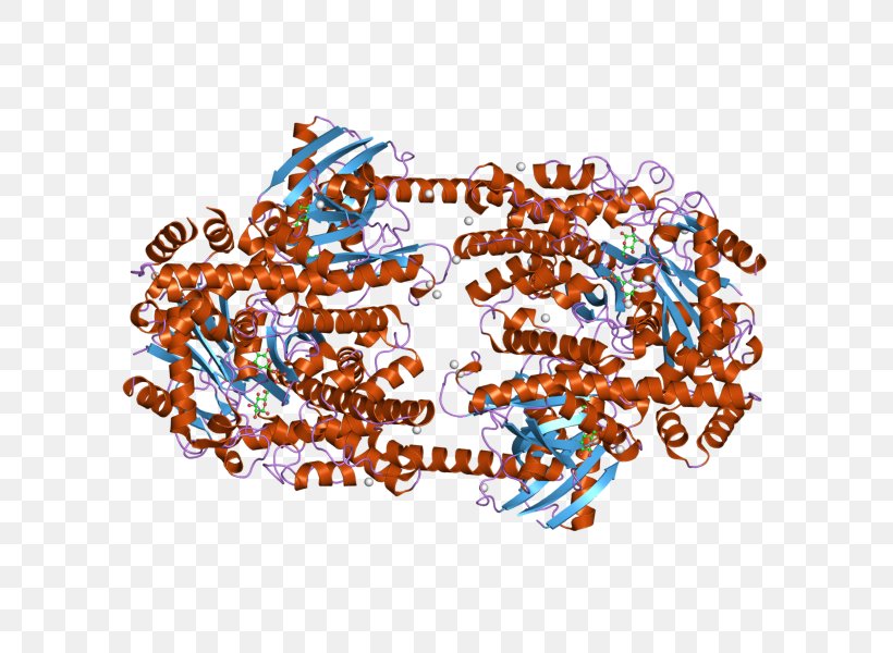 Hexokinase Glucose-6-phosphate Isomerase HK2 Fructokinase Enzyme, PNG, 800x600px, Watercolor, Cartoon, Flower, Frame, Heart Download Free
