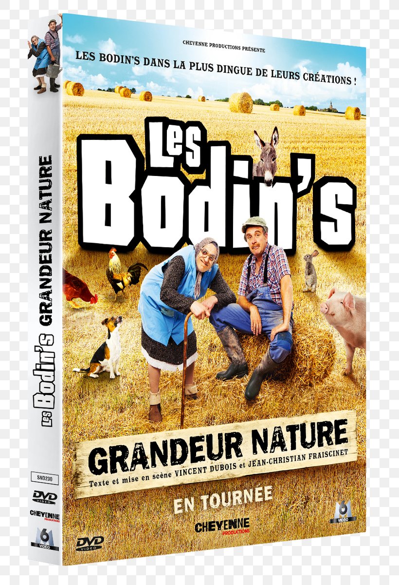 Les Bodin’s Grandeur Nature Le P'tit Lexique Des Bodin's France Blu-ray Disc Les Bodin's, PNG, 732x1200px, France, Advertising, Bluray Disc, Comedian, Dvd Download Free