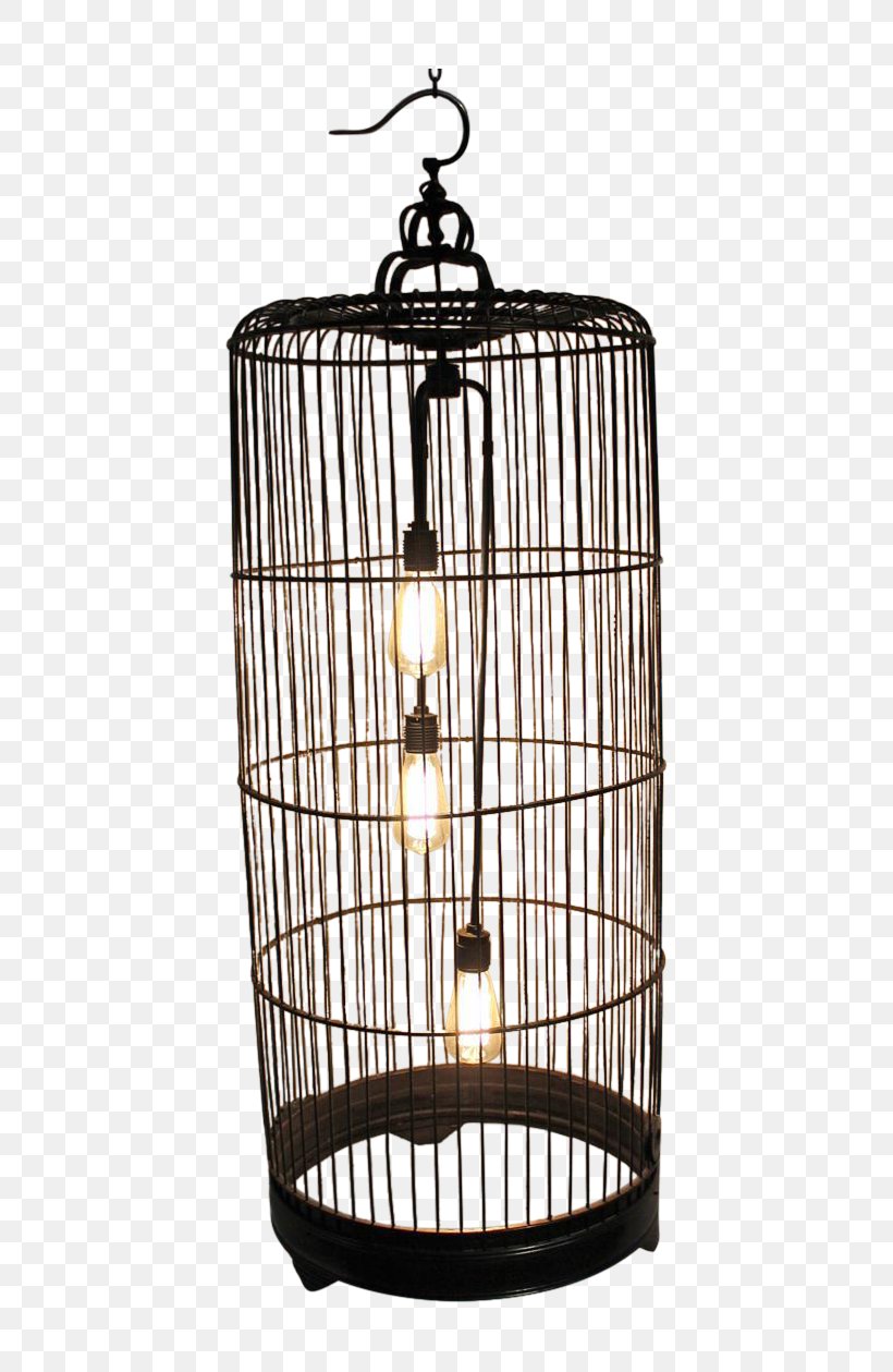Product Design Light Fixture Ceiling, PNG, 451x1259px, 4k Resolution, Light Fixture, Cage, Ceiling, Ceiling Fixture Download Free