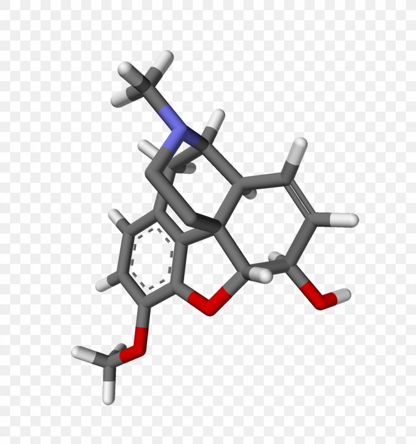 Codeine Morphine Hydromorphone Opioid Analgesic, PNG, 1100x1175px, Codeine, Acetaminophen, Ache, Adverse Effect, Analgesic Download Free