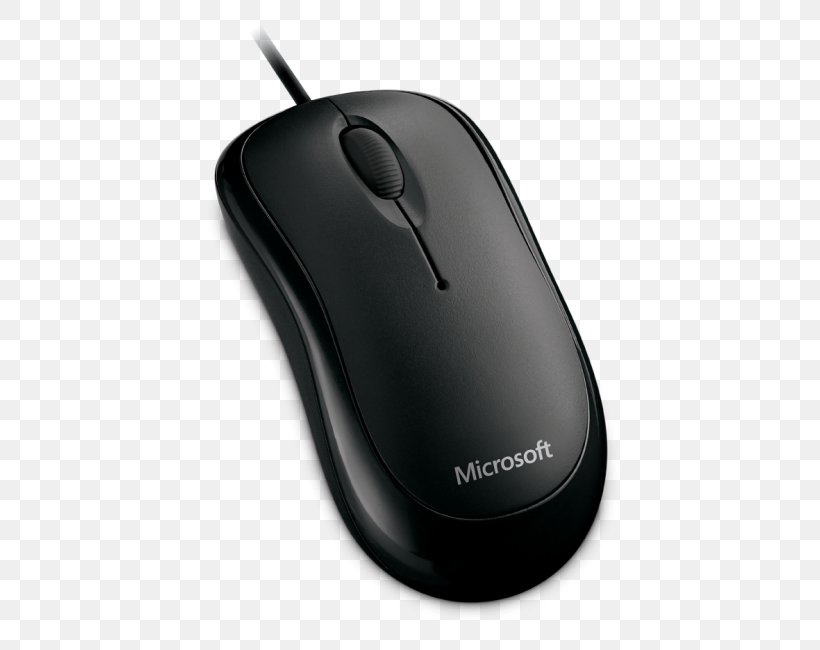 image of mouse in computer