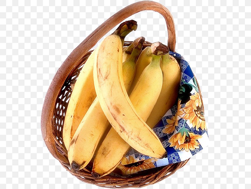 Cooking Banana Fruit Drawing Clip Art, PNG, 557x617px, Banana, Banana Family, Cooking Banana, Cooking Plantain, Drawing Download Free