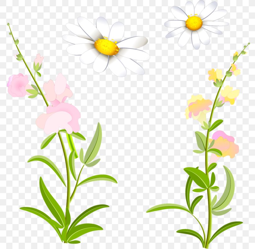 Floral Design Cut Flowers Plant Stem Wildflower, PNG, 788x800px, Floral Design, Advertising, Artwork, Branch, Cut Flowers Download Free