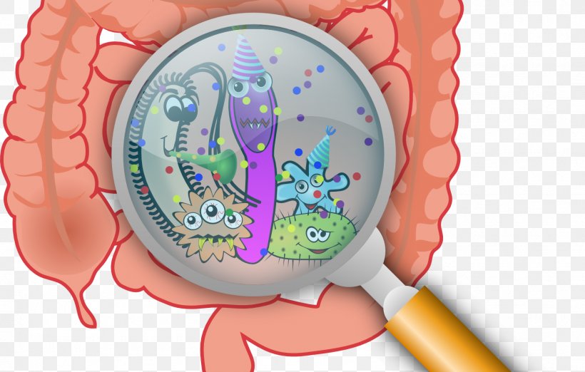 Gastrointestinal Tract Gastrointestinal Disease Gut Flora Small Intestinal Bacterial Overgrowth, PNG, 1483x945px, Watercolor, Cartoon, Flower, Frame, Heart Download Free