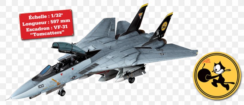 Grumman F-14 Tomcat Apache Tomcat Scale Models Hypertext Transfer Protocol, PNG, 892x384px, Grumman F14 Tomcat, Aerospace, Aerospace Engineering, Air Force, Aircraft Download Free