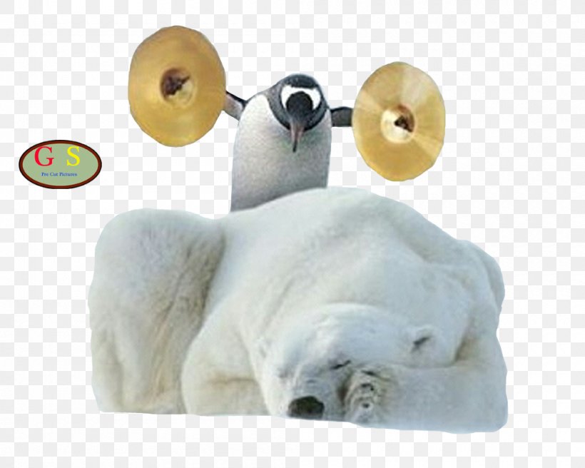 Polar Bear American Black Bear Winnie-the-Pooh Penguin, PNG, 1000x800px, Polar Bear, American Black Bear, Animal, Bear, Bird Download Free