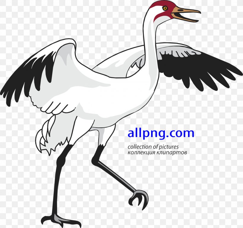 Red-crowned Crane Bird Heron Clip Art, PNG, 1500x1409px, Crane, Artwork, Beak, Bird, Black And White Download Free