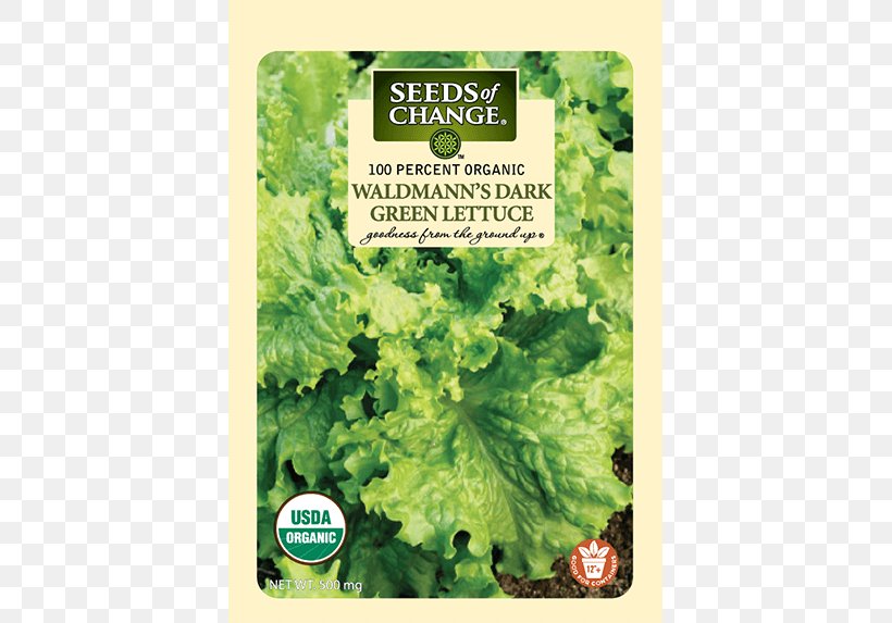 Romaine Lettuce Organic Food Red Leaf Lettuce Leaf Vegetable, PNG, 573x573px, Romaine Lettuce, Food, Herb, Kale, Lactuca Download Free