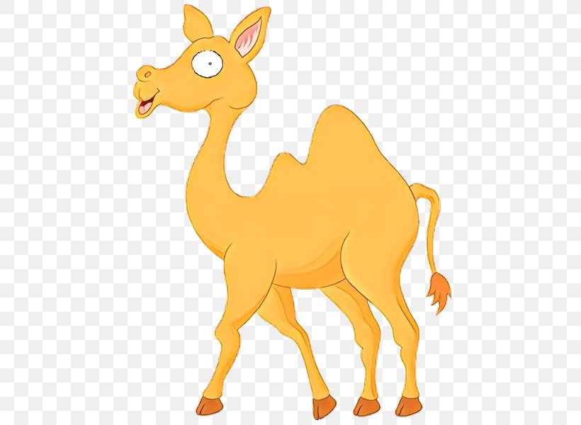 Vector Graphics Camel Clip Art Illustration Stock Photography, PNG, 600x600px, Camel, Animal Figure, Camelid, Cartoon, Fawn Download Free