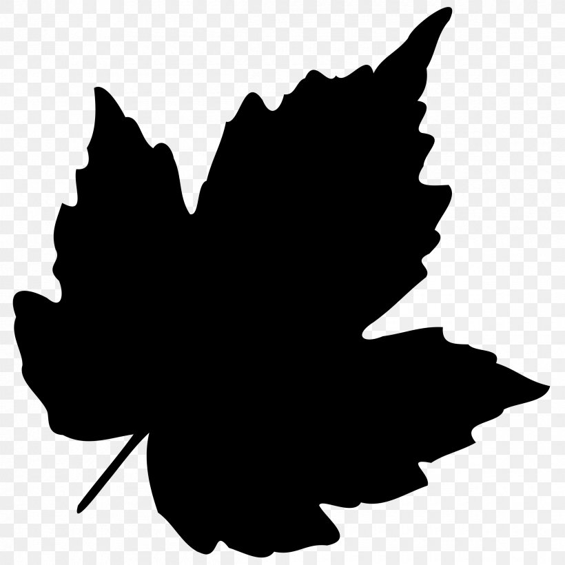 Autumn Tree Silhouette, PNG, 2400x2400px, Leaf, Autumn, Autumn Leaf Color, Black, Blackandwhite Download Free