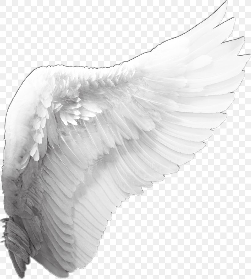 Clip Art, PNG, 1024x1140px, Wing, Beak, Bird, Black And White, Drawing Download Free