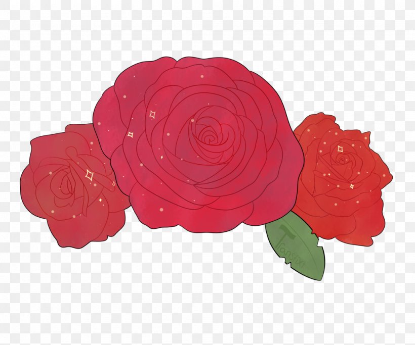 Garden Roses Petal Cut Flowers, PNG, 1024x853px, Garden Roses, Cut Flowers, Flower, Garden, Petal Download Free