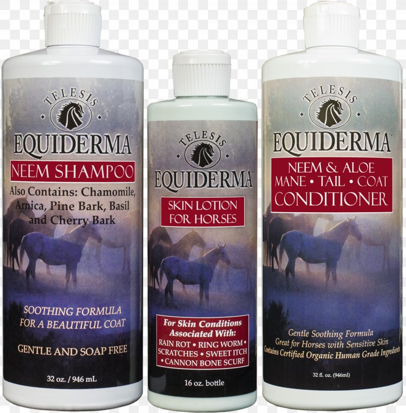 Horse Lotion Dog Hair Conditioner Pet, PNG, 2011x2048px, Horse, Dog, Dog Grooming, Fly Spray, Hair Conditioner Download Free