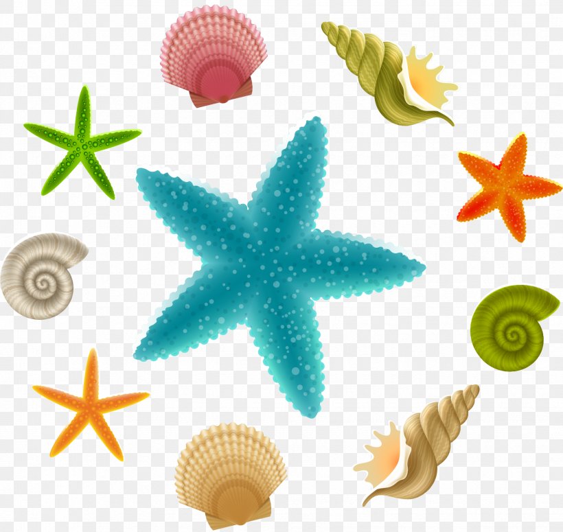 Starfish Linckia Laevigata Clip Art, PNG, 1735x1640px, Starfish, Beach, Drawing, Echinoderm, Invertebrate Download Free