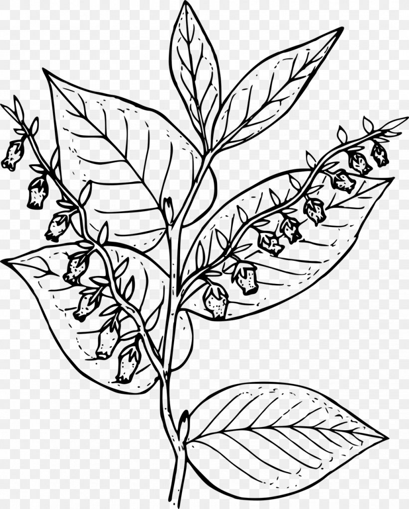 Arctic Tundra Coloring Book Plant Wildflower, PNG, 1029x1280px, Arctic, Arctic Vegetation, Artwork, Black And White, Branch Download Free