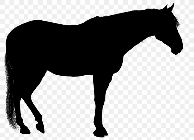 Clip Art Arabian Horse Silhouette Stallion Mustang, PNG, 1000x721px, Arabian Horse, American Paint Horse, Animal Figure, Blackandwhite, Drawing Download Free