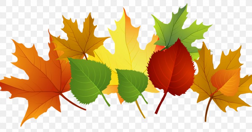 Clip Art Openclipart Autumn Leaf Color Image, PNG, 1200x630px, Autumn Leaf Color, Art, Autumn, Black Maple, Borders Clip Art Download Free
