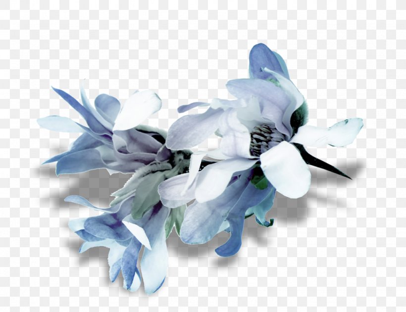Floranova Flower Clothing Fashion Jacket, PNG, 1024x788px, Flower, Blue, Clothing, Cut Flowers, Fashion Download Free