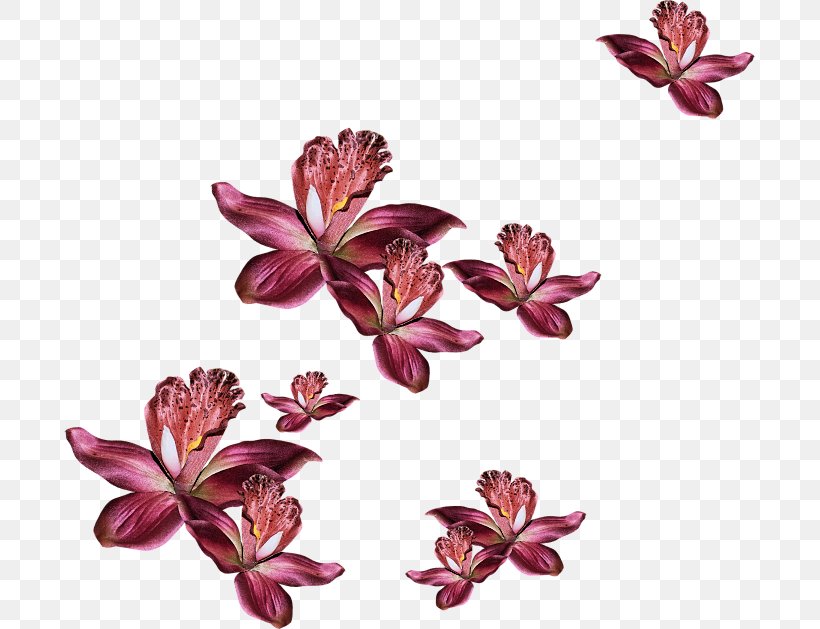 Petal Cut Flowers Garden Roses Floral Design, PNG, 691x629px, Petal, Art, Blossom, Blue Rose, Cut Flowers Download Free