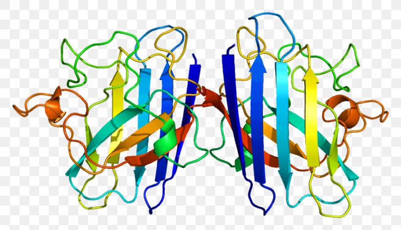 SOD1 TARDBP Amyotrophic Lateral Sclerosis Protein Superoxide Dismutase, PNG, 825x473px, Tardbp, Amyotrophic Lateral Sclerosis, Area, Cell, Disease Download Free