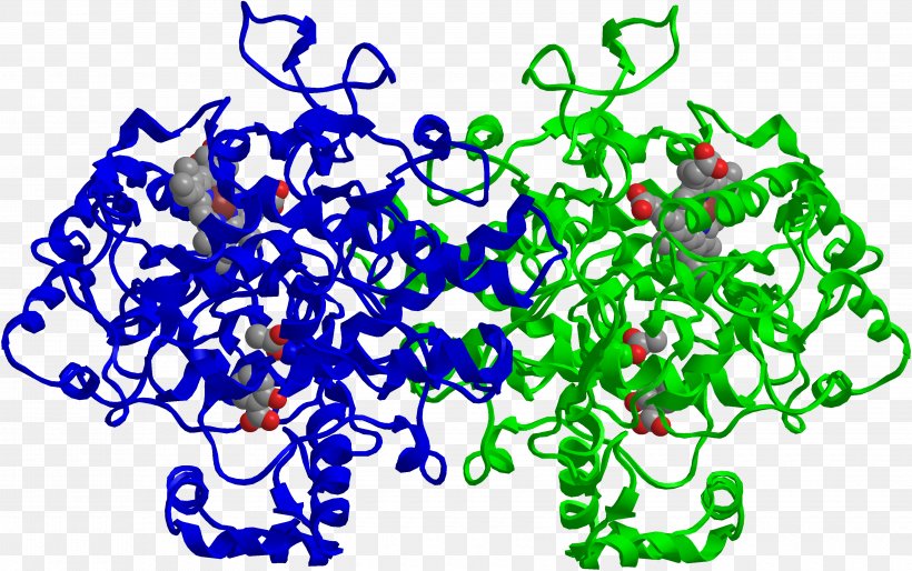 Cyclooxygenase Prostaglandin-endoperoxide Synthase 2 Mechanism Of Action Of Aspirin PTGS1, PNG, 3560x2235px, Cyclooxygenase, Area, Artwork, Aspirin, Cox2 Inhibitor Download Free