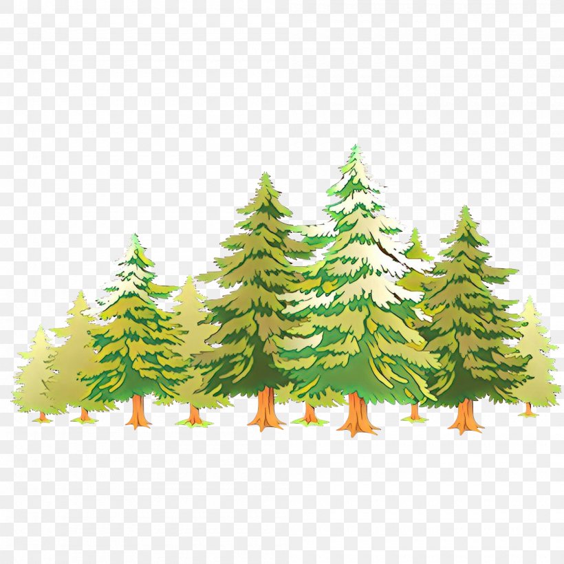 Christmas Tree, PNG, 2000x2000px, Shortleaf Black Spruce, Balsam Fir, Christmas Tree, Colorado Spruce, Lodgepole Pine Download Free