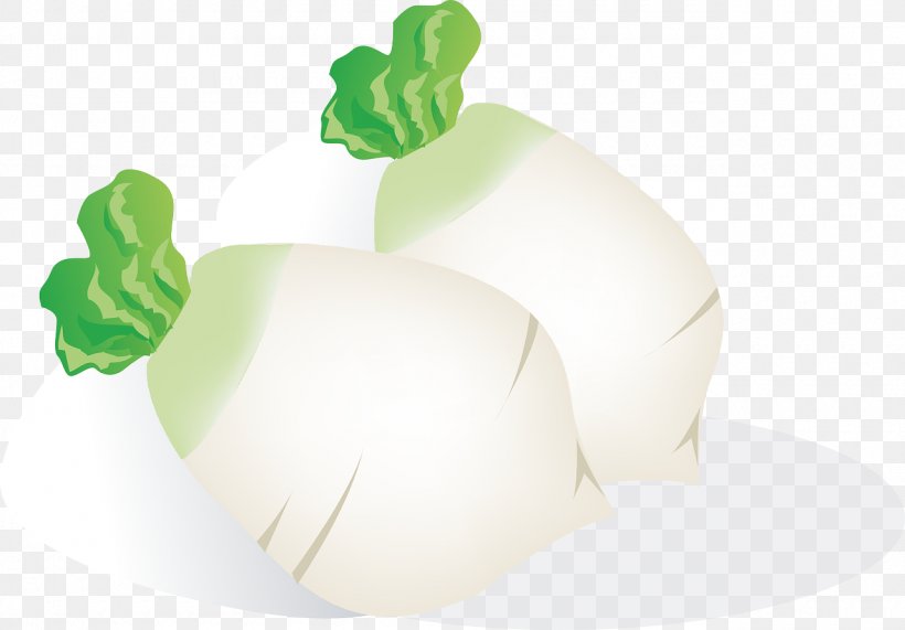 Daikon Turnip Root Vegetables Vector Graphics, PNG, 1280x892px, Daikon, Aubergines, Bean, Food, Fruit Download Free