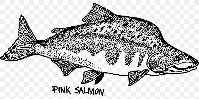 Fish Pink Salmon Chum Salmon Drawing, PNG, 1280x640px, Fish, Animal Figure, Atlantic Salmon, Black And White, Chum Salmon Download Free