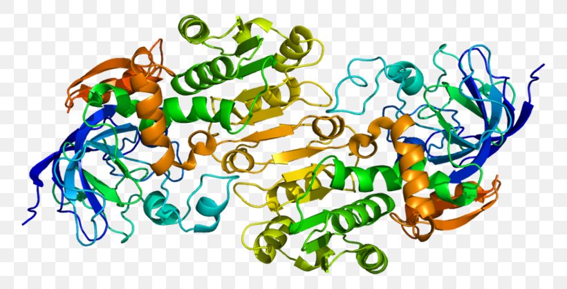 Alcohol Dehydrogenase Enzyme Formate Dehydrogenase, PNG, 800x419px, Alcohol Dehydrogenase, Alcohol, Alcohol Flush Reaction, Alcoholic Drink, Art Download Free