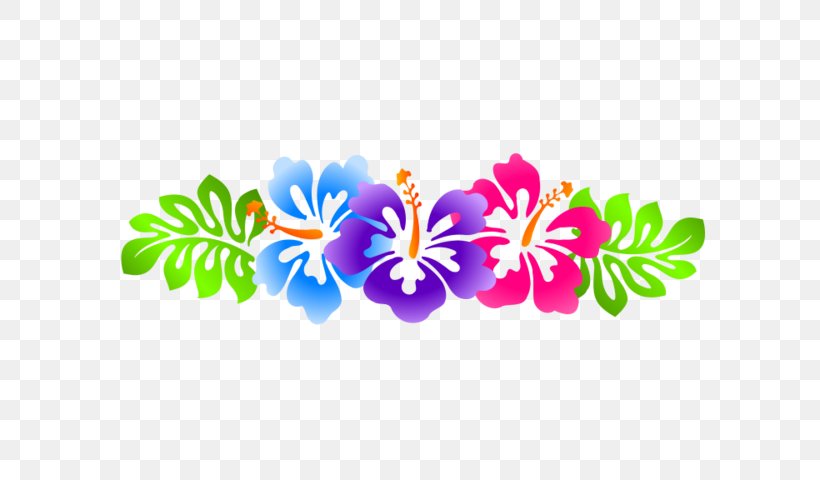 Clip Art Borders And Frames Rosemallows Vector Graphics Image, PNG, 640x480px, Borders And Frames, Flora, Floral Design, Flower, Flowering Plant Download Free