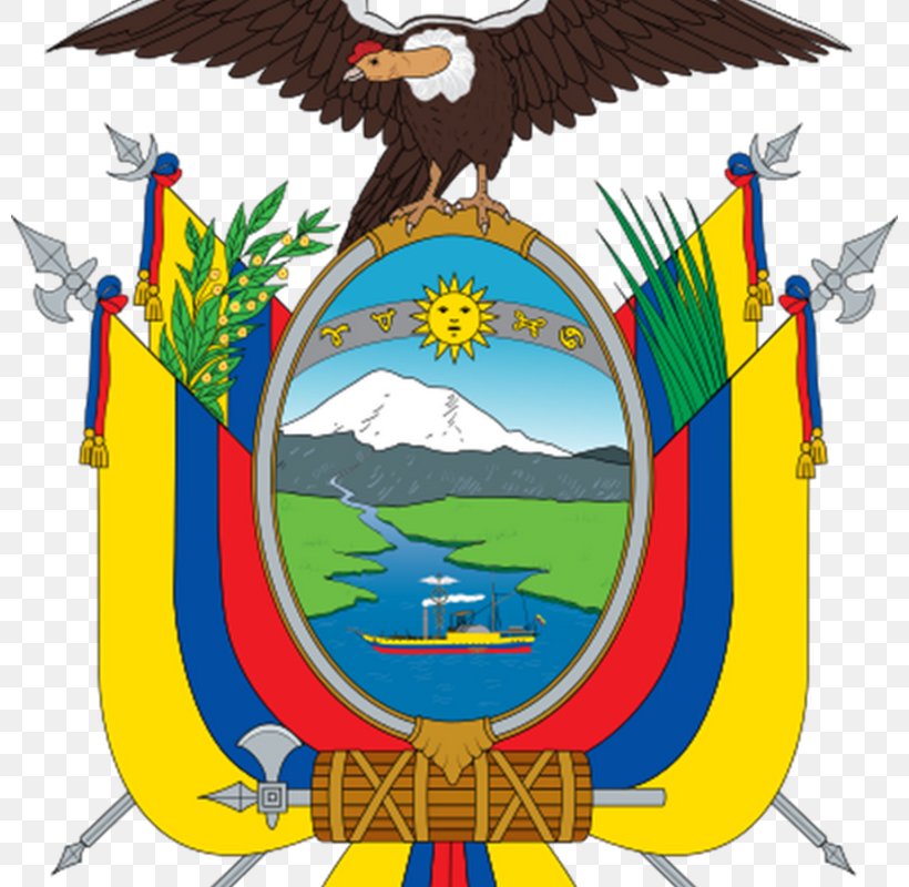 Coat Of Arms Of Ecuador Gran Colombia Flag Of Ecuador, PNG, 800x800px, Ecuador, Americas, Coat Of Arms, Coat Of Arms Of Ecuador, Country Download Free