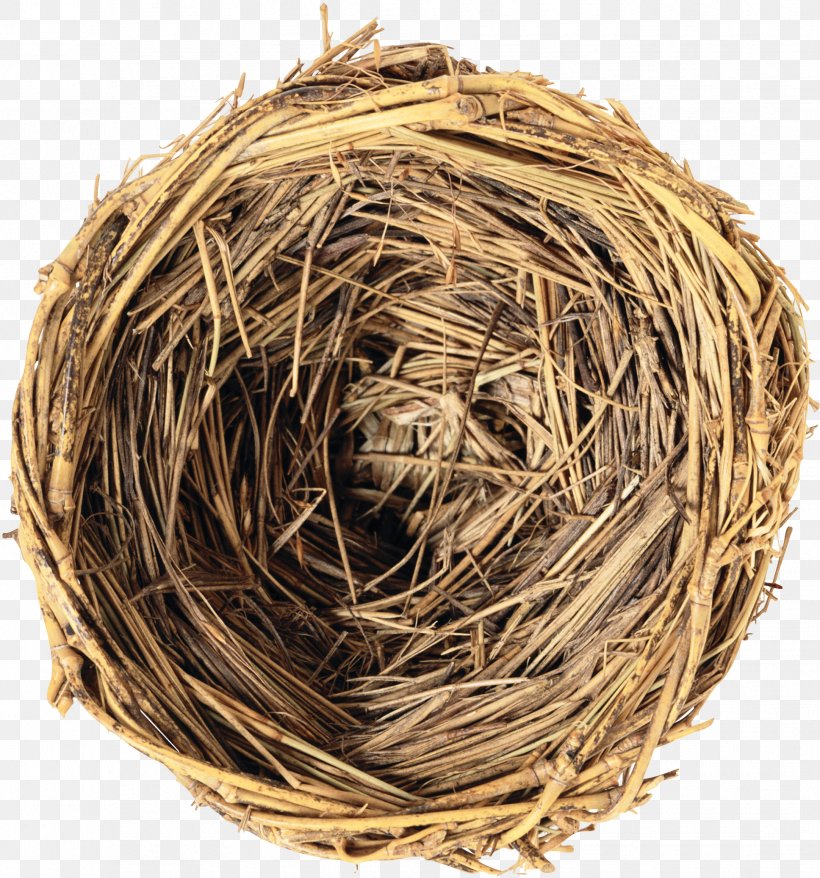 Making Globalization Work Georgia Bird Nest, PNG, 1936x2075px, Georgia, Azerbaijanis, Bird, Bird Nest, Ebook Download Free