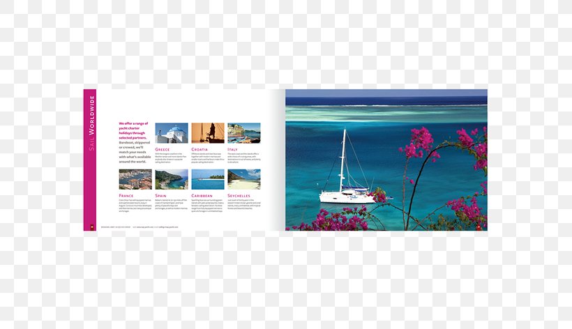 Photographic Paper Graphic Design Advertising Picture Frames, PNG, 667x472px, Paper, Advertising, Brand, Magenta, Photographic Paper Download Free