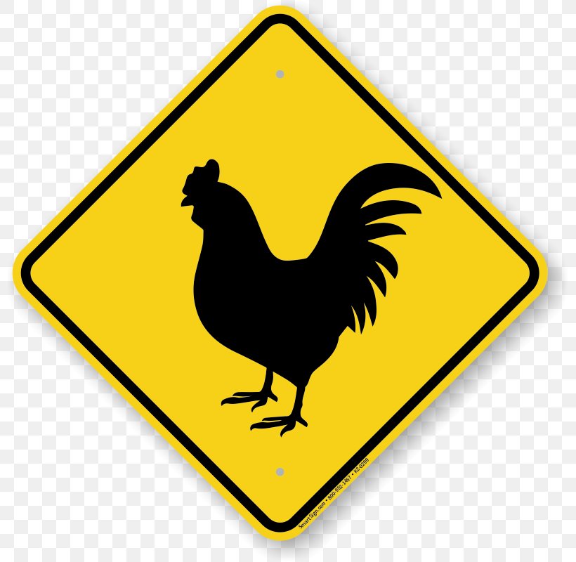 Traffic Sign Road Warning Sign, PNG, 800x800px, Traffic Sign, Beak, Bird, Chicken, Child Download Free