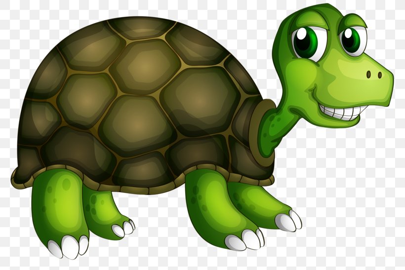 Turtle Royalty-free Illustration, PNG, 800x547px, Turtle, Drawing, Fauna, Fictional Character, Organism Download Free