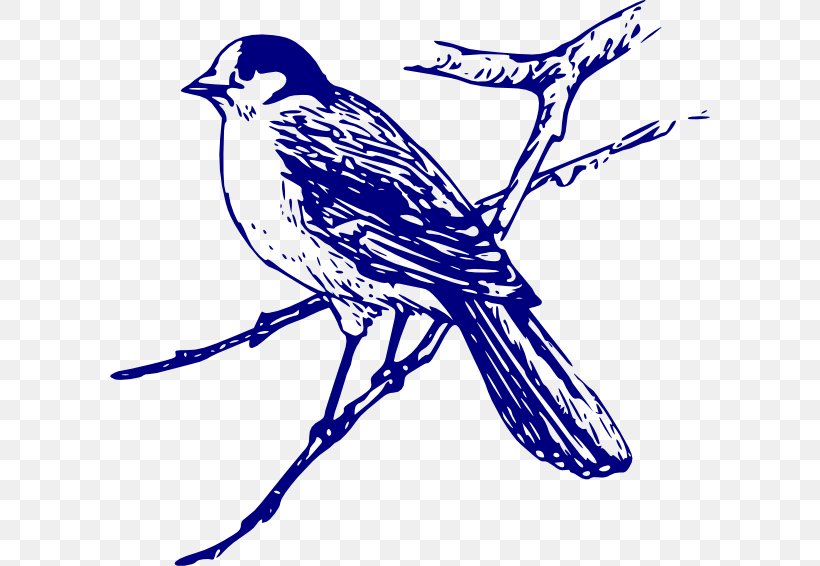 Bluebird Clip Art, PNG, 600x566px, Bird, Art, Artwork, Beak, Black And White Download Free