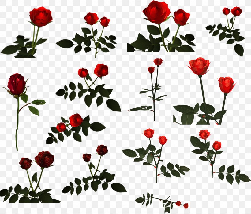 Cut Flowers Garden Roses Petal, PNG, 1600x1368px, Flower, Branch, Cut Flowers, Depositfiles, Flora Download Free