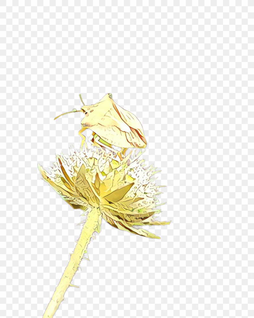Dandelion Yellow Flower Plant Dandelion, PNG, 1787x2236px, Dandelion, Flower, Plant, Wildflower, Yellow Download Free