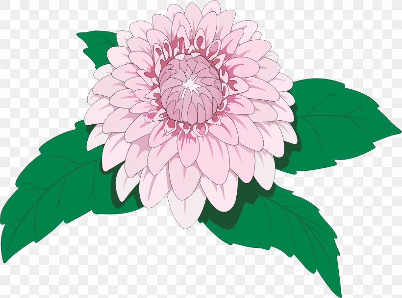 Drawing Dahlia Imperialis Flower Clip Art, PNG, 2299x1702px, Drawing, Annual Plant, Chrysanths, Cut Flowers, Dahlia Download Free