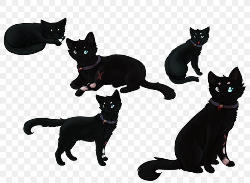 Black Cat Kitten Domestic Short-haired Cat Whiskers, PNG, 1024x751px, Black Cat, Bombay, Carnivoran, Cat, Cat Like Mammal Download Free