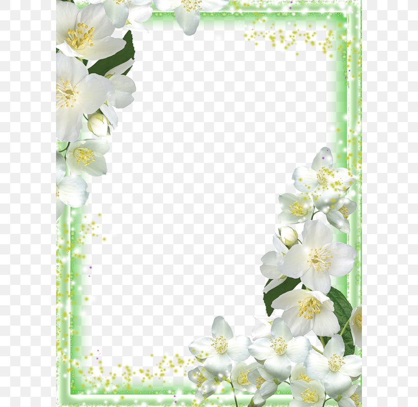 Picture Frames Orchids, PNG, 600x800px, Picture Frames, Blossom, Branch, Flora, Floral Design Download Free