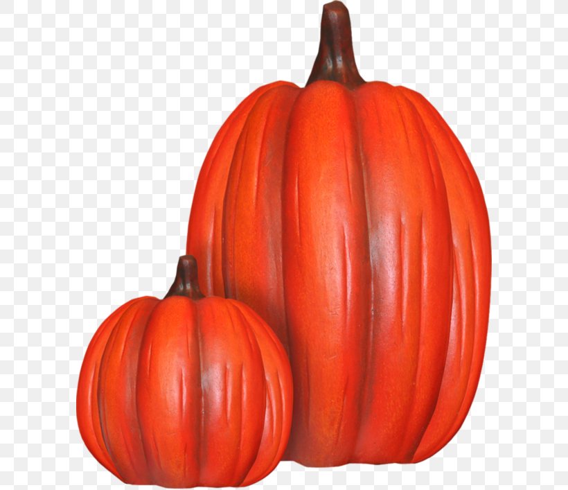 Pumpkin Calabaza Winter Squash Gourd, PNG, 600x707px, Pumpkin, Calabaza, Cartoon, Cucumber Gourd And Melon Family, Cucurbita Download Free