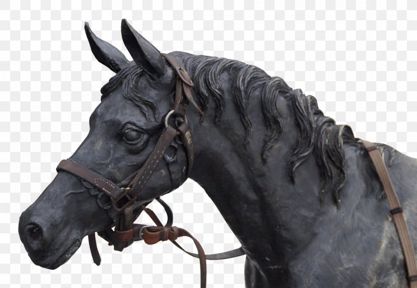 Horse Stallion Sculpture Statue Portrait, PNG, 960x666px, Horse, Art, Bridle, Bronze Sculpture, Child Download Free