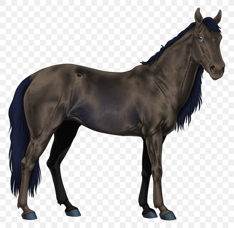 Mustang American Paint Horse Stallion Arabian Horse American Quarter Horse, PNG, 800x800px, Mustang, American Paint Horse, American Quarter Horse, Animal Figure, Appaloosa Download Free