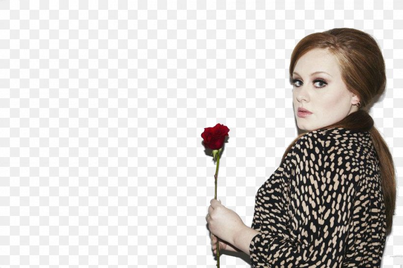 Adele High-definition Video Display Resolution Wallpaper, PNG, 960x640px, Watercolor, Cartoon, Flower, Frame, Heart Download Free