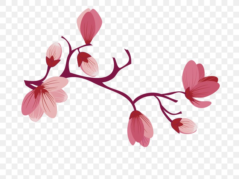 Cherry Blossom Image Flower Rose, PNG, 729x613px, Cherry Blossom, Blossom, Botany, Boutique, Branch Download Free